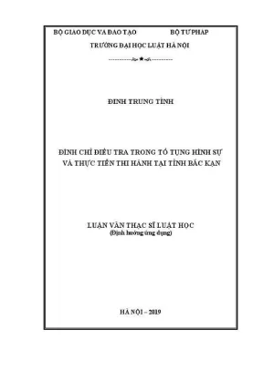 Đình Chỉ Điều Tra Trong Tố Tụng Hình Sự: Thực Tiễn Tại