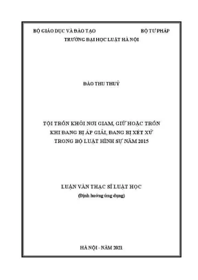 Tội Trốn Khỏi Nơi Giam Giữ Theo Bộ Luật Hình Sự 2015