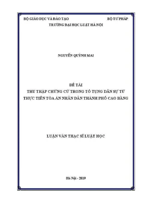 Chứng Cứ Trong Tố Tụng Dân Sự: Nghiên Cứu Từ Toà Án Nhân