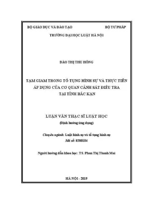 Tạm giam trong tố tụng hình sự: Thực tiễn áp dụng tại
