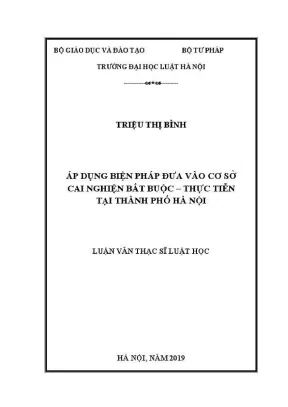 Biện pháp cai nghiện bắt buộc tại Hà Nội: Nghiên cứu