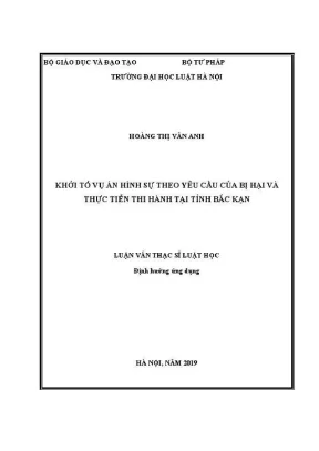 Khởi Tố Vụ Án Hình Sự Theo Yêu Cầu Bị Hại: Thực Tiễn Tại