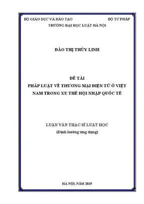 Thương mại điện tử ở Việt Nam: Luận văn thạc sĩ về pháp