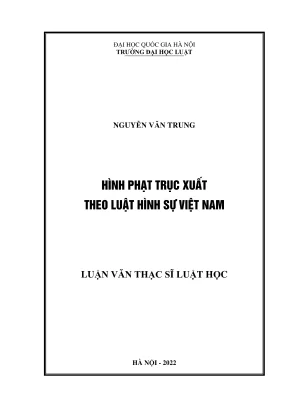 Nghiên cứu về hình phạt trục xuất theo luật hình sự Việt Nam