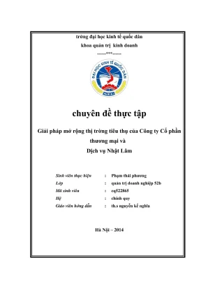 Giải pháp mở rộng thị trường cho công ty Nhật Lâm