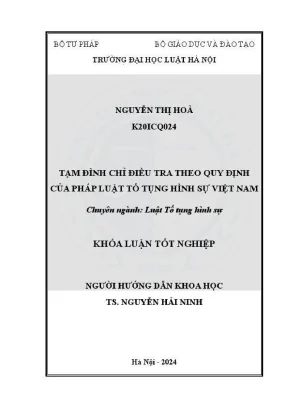 Tạm Đình Chỉ Điều Tra Trong Luật Tố Tụng Hình Sự Việt Nam