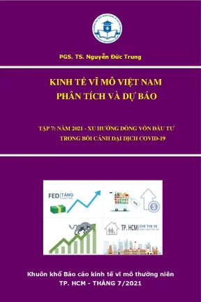 Phân Tích Xu Hướng Đầu Tư Tại Việt Nam Trong Bối Cảnh 