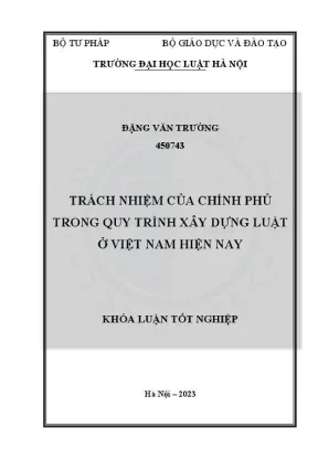 Trách Nhiệm Của Chính Phủ Trong Xây Dựng Luật Tại Việt Nam