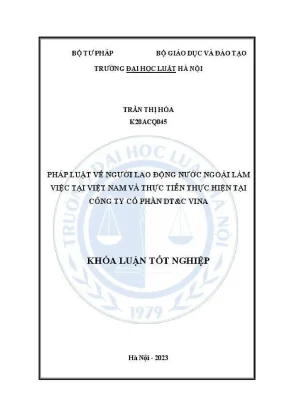 Nghiên cứu về lao động nước ngoài tại Việt Nam và thực 