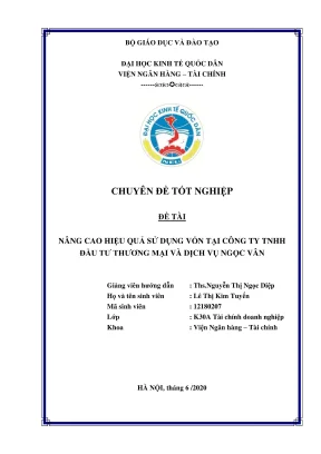 Tối ưu hóa hiệu quả sử dụng vốn tại Công ty TNHH Ngọc Vân