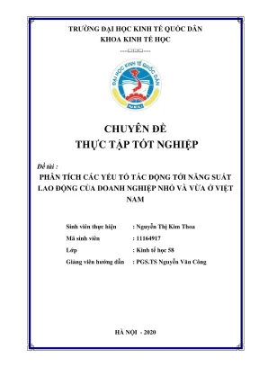 Phân Tích Yếu Tố Tác Động Đến Năng Suất Lao Động Doanh 
