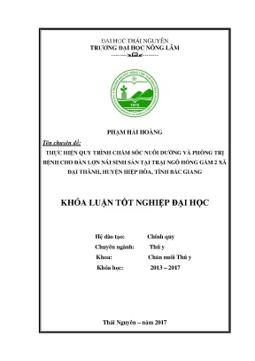 Chăm sóc và phòng trị bệnh cho lợn nái tại trại ngô Hồng 