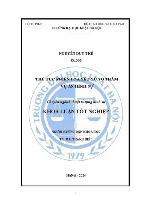 Thủ tục xét xử sơ thẩm trong vụ án hình sự: Hướng dẫn 