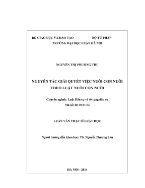 Nguyên tắc giải quyết nuôi con nuôi theo luật pháp Việt Nam