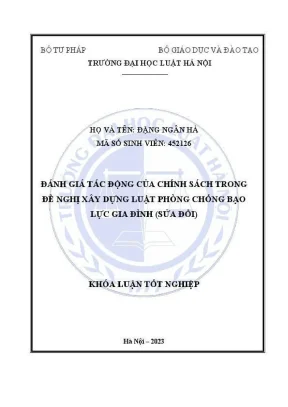 Đánh Giá Tác Động Chính Sách Luật Phòng Chống Bạo Lực 