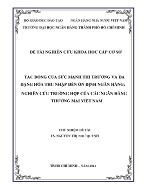 Tác động của sức mạnh thị trường và đa dạng hóa thu nhập 
