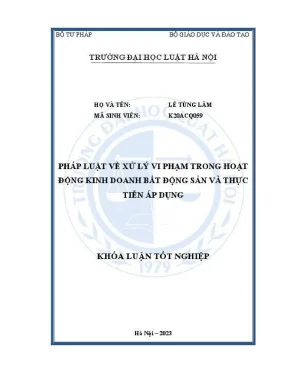 Xử Lý Vi Phạm Trong Kinh Doanh Bất Động Sản: Thực Tiễn 