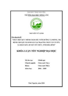 Chăm sóc và phòng trị bệnh cho lợn nái sinh sản tại trại 