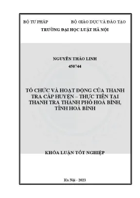 Tổ Chức và Hoạt Động Thanh Tra Cấp Huyện Tại Thành Phố 