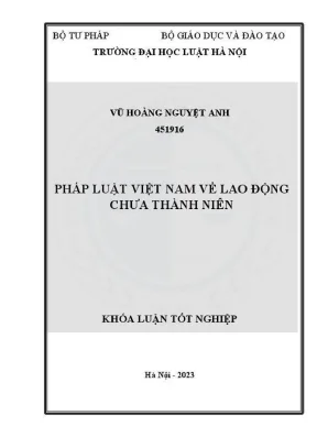 Khóa Luận Tốt Nghiệp Về Lao Động Trẻ Em Tại Việt Nam