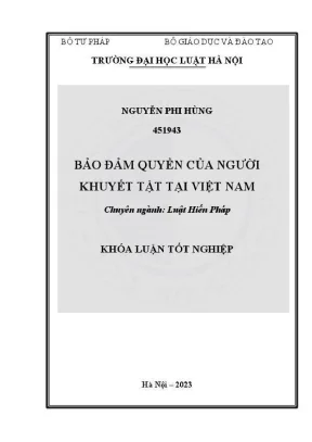 Bảo Đảm Quyền Lợi Người Khuyết Tật Tại Việt Nam
