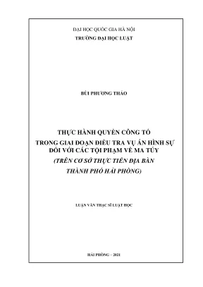 Thực hành quyền công tố trong điều tra tội phạm ma túy
