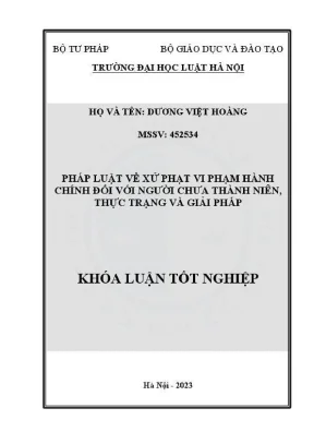 Giải pháp xử phạt vi phạm hành chính cho người chưa 
