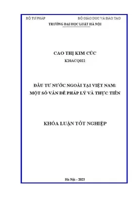 Phân Tích Pháp Lý và Thực Tiễn Đầu Tư Nước Ngoài Tại 