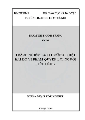 Trách nhiệm bồi thường thiệt hại trong vi phạm quyền lợi 