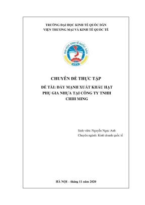 Thực tập xuất khẩu hạt phụ gia nhựa tại công ty TNHH 