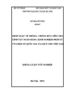 Phòng Chống Rửa Tiền Trong Ngân Hàng: Kinh Nghiệm Quốc