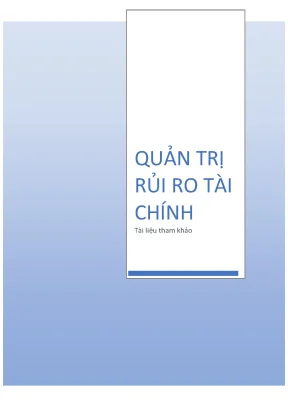 Hướng dẫn quản trị rủi ro tài chính hiệu quả