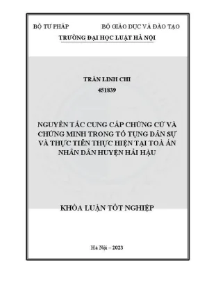 Nguyên tắc cung cấp chứng cứ trong tố tụng dân sự tại 