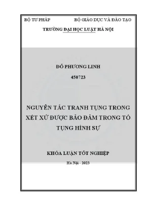 Nguyên Tắc Tranh Tụng Trong Xét Xử Hình Sự