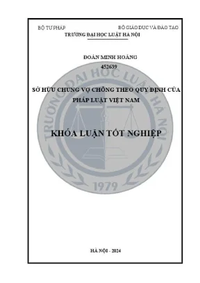 Sở hữu chung vợ chồng theo pháp luật Việt Nam