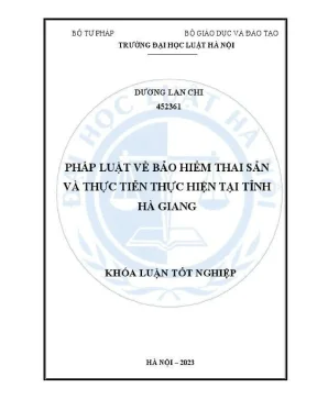 Nghiên cứu bảo hiểm thai sản và thực tiễn tại Hà Giang