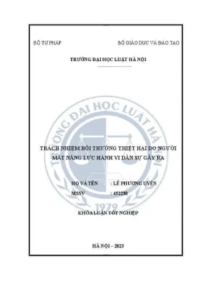 Trách nhiệm bồi thường thiệt hại của người mất năng lực