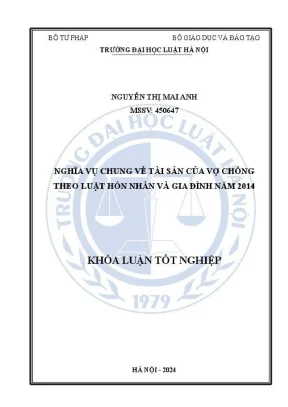 Nghĩa vụ chung về tài sản của vợ chồng theo Luật Hôn 