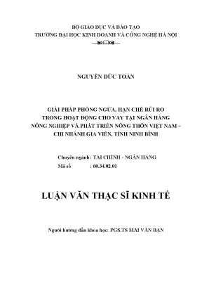 Giải pháp hạn chế rủi ro cho vay tại Ngân hàng Nông 