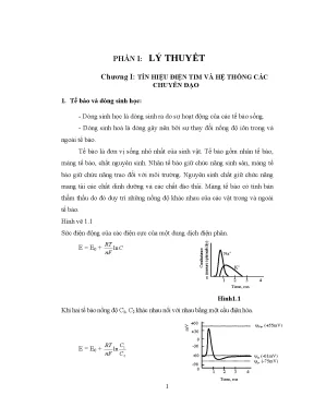Dòng Sinh Học & Tín Hiệu Điện Tim: Nghiên Cứu & Ứng Dụng