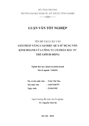 Giải pháp nâng cao hiệu quả sử dụng vốn kinh doanh tại 