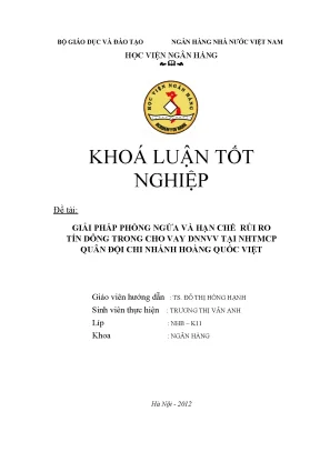 Giải pháp phòng ngừa rủi ro tín dụng cho vay doanh 