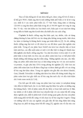 Nghiên cứu phức hợp Fe(III) với phối tử salen và tác 
