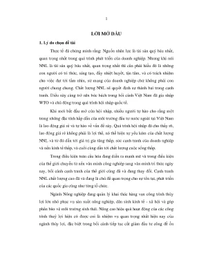 Nâng Cao Chất Lượng Nguồn Nhân Lực: Công Ty Khai Thác 