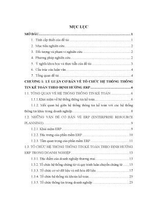 Tổ Chức Hệ Thống Thông Tin Kế Toán ERP Tại Công Ty
