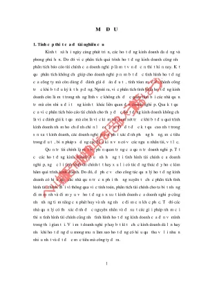 Phân Tích Tài Chính Tại Công Ty Cổ Phần Thương Mại Quảng Trị