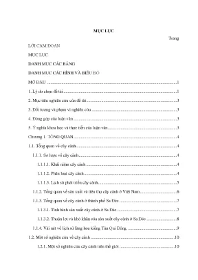 Nghiên cứu cây cảnh tại Phường Tân Qui Đông, Sa Đéc, 