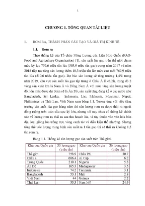 Phân Tích Cộng Đồng Vi Khuẩn Phân Hủy Rơm Rạ Bằng Kỹ 