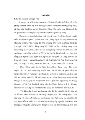 Bảo vệ rừng tại huyện Trà Bồng, Quảng Ngãi: Thực trạng 