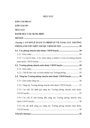 Năng lực trưởng phòng chuyên môn tại Ủy ban Nhân dân 